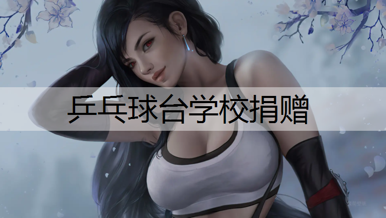 乒乓球台学校捐赠
