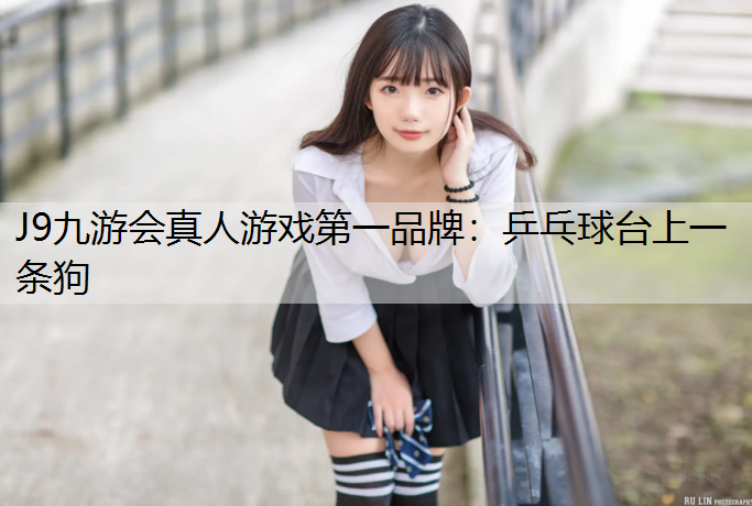 J9九游会真人游戏第一品牌：乒乓球台上一条狗