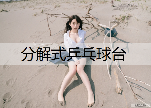 分解式乒乓球台