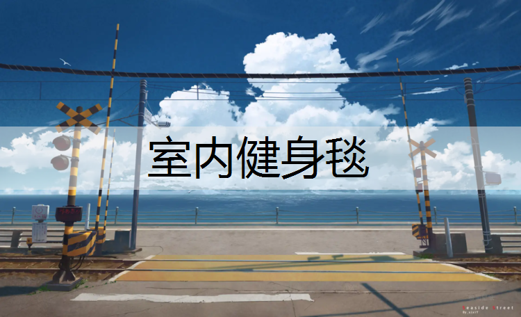 室内健身毯