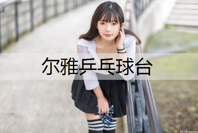 尔雅乒乓球台