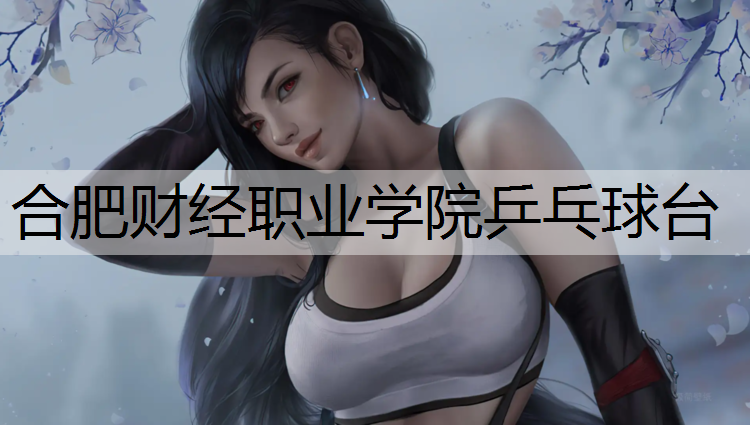 合肥财经职业学院乒乓球台