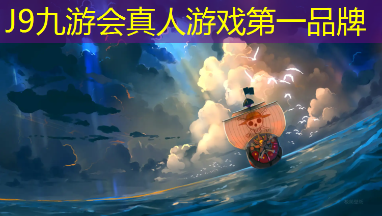 J9九游会官网：体操专用大垫