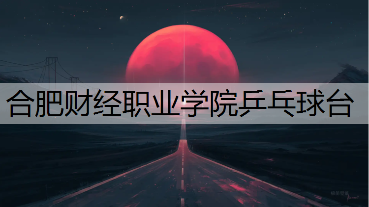 合肥财经职业学院乒乓球台