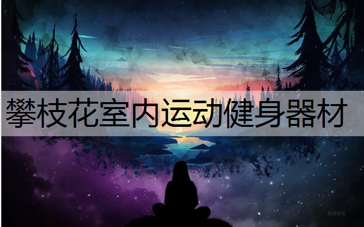 攀枝花室内运动健身器材