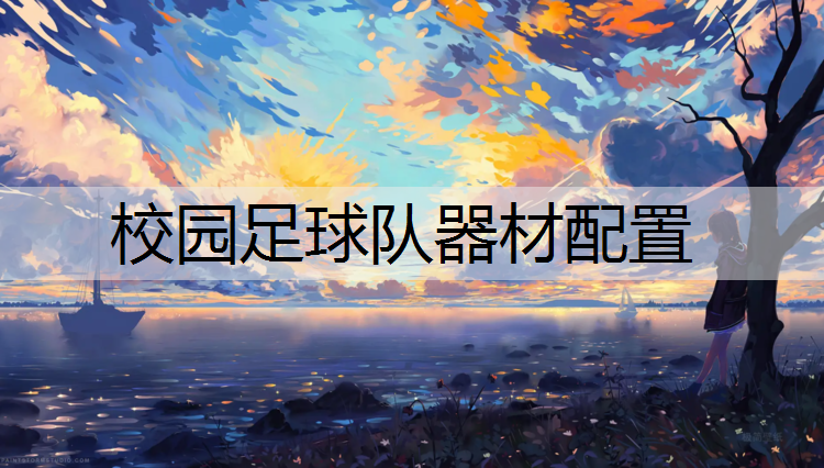 校园足球队器材配置