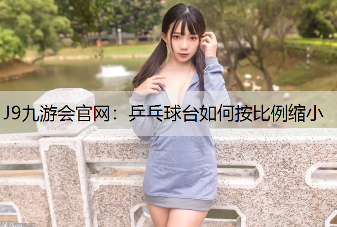 乒乓球台如何按比例缩小